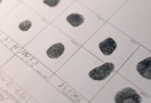 search registry verification evidence ids