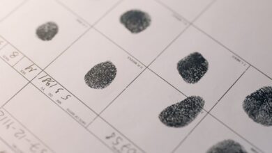 search registry verification evidence ids