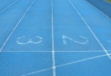track numbers verification details for specific ids