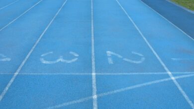 track numbers verification details for specific ids